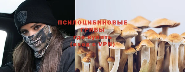 мескалин Михайлов