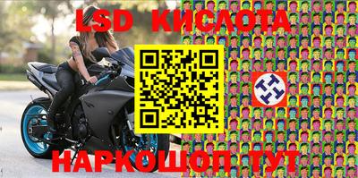 ALPHA PVP Аргун