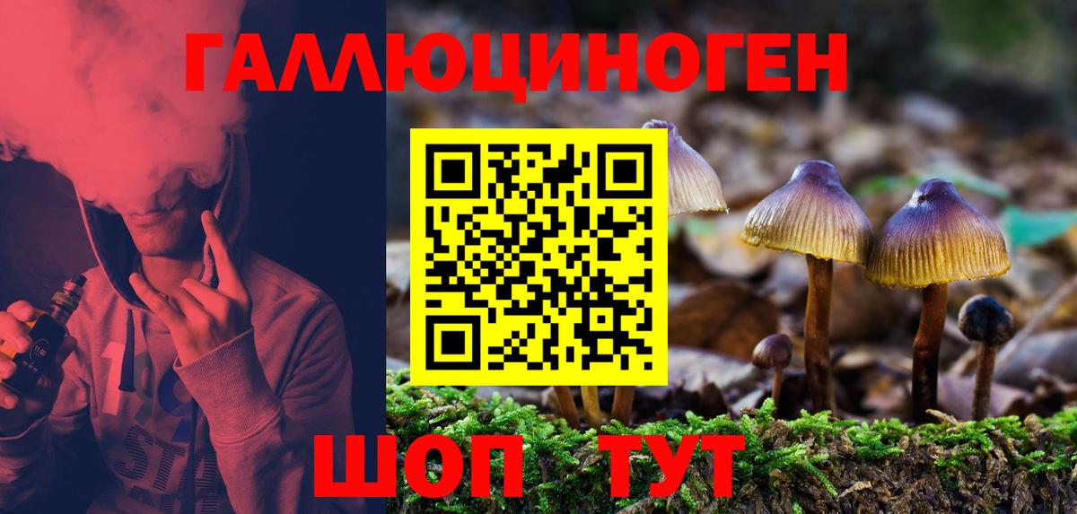 Галлюциногенные грибы GOLDEN TEACHER  Вход с VPN  Калининград  Галлюциногенные грибы Cubensis 
