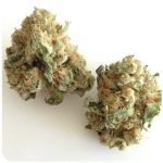 Шишки "White Widow"  (Белая вдова)  Гидропоника -  Бошка VHQ в Калининграде